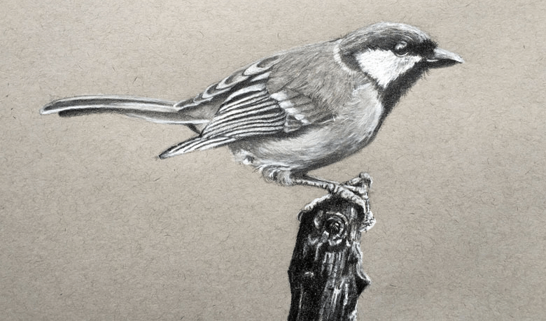Drawing:5imhdjgxuha= Bird