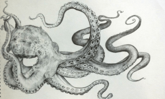 Drawing:7x5quw-Tyjo= Octopus