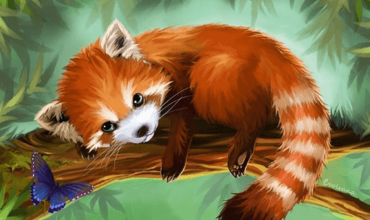 Drawing:9wm566q33f0= Red Panda