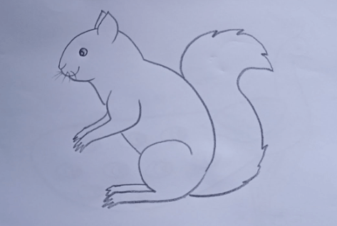 Drawing:_Szjnepomtg= Squirrel