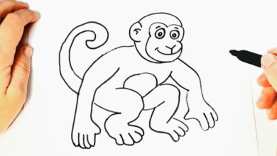 Outline:2mn7gemndqm= Monkey Drawing