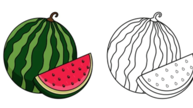 Outline:2pzq33hyh2k= Watermelon Clipart