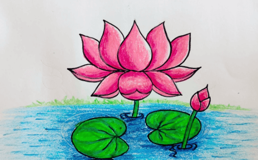 Drawing:5jhodnm0l4i= Lotus