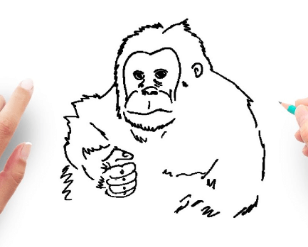 Drawing:6zw1nupb-Oa= Orangutan