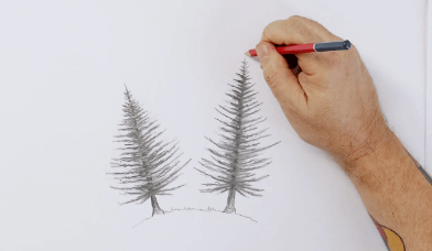 Drawing:9sn1eqhlw6e= Pine Tree