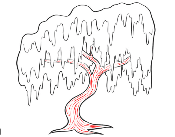 Drawing:9tvujzldh24= Willow Tree