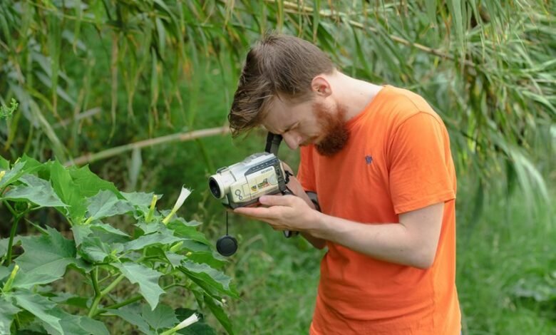 sector growth data overview